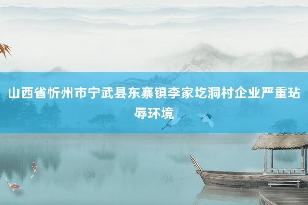 山西省忻州市宁武县东寨镇李家圪洞村企业严重玷辱环境