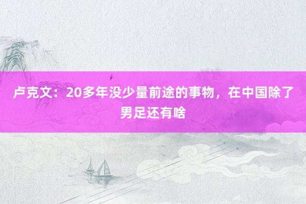 卢克文：20多年没少量前途的事物，在中国除了男足还有啥