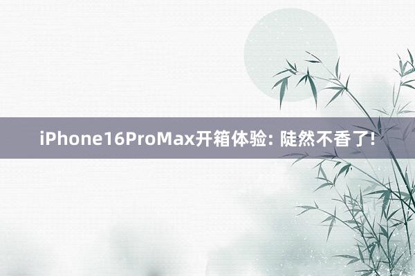 iPhone16ProMax开箱体验: 陡然不香了!